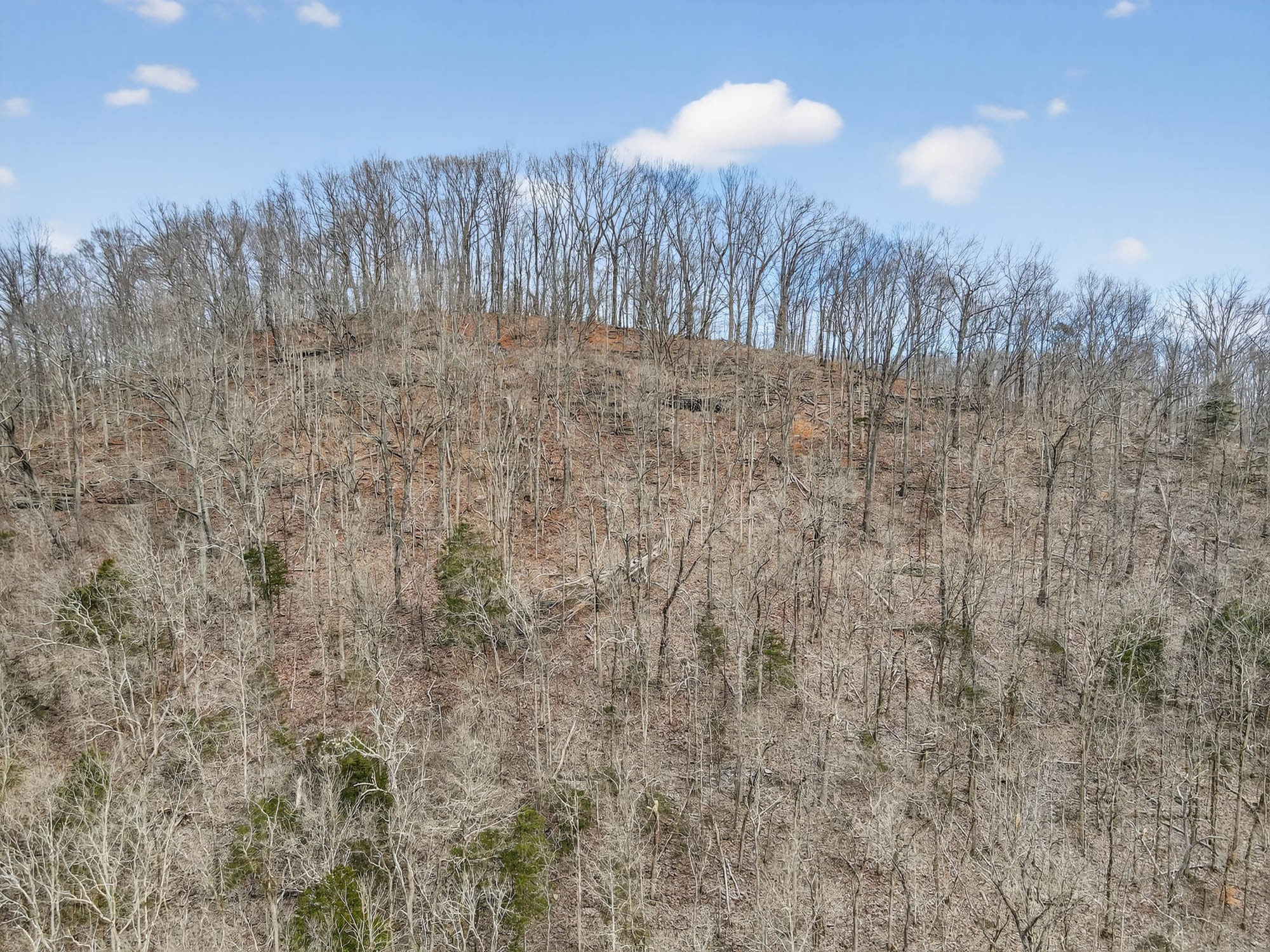 0 Sycamore Valley Road Pleasant Shade, TN 37145 - Photo 12 of 15 a view of a dry yard with trees in background