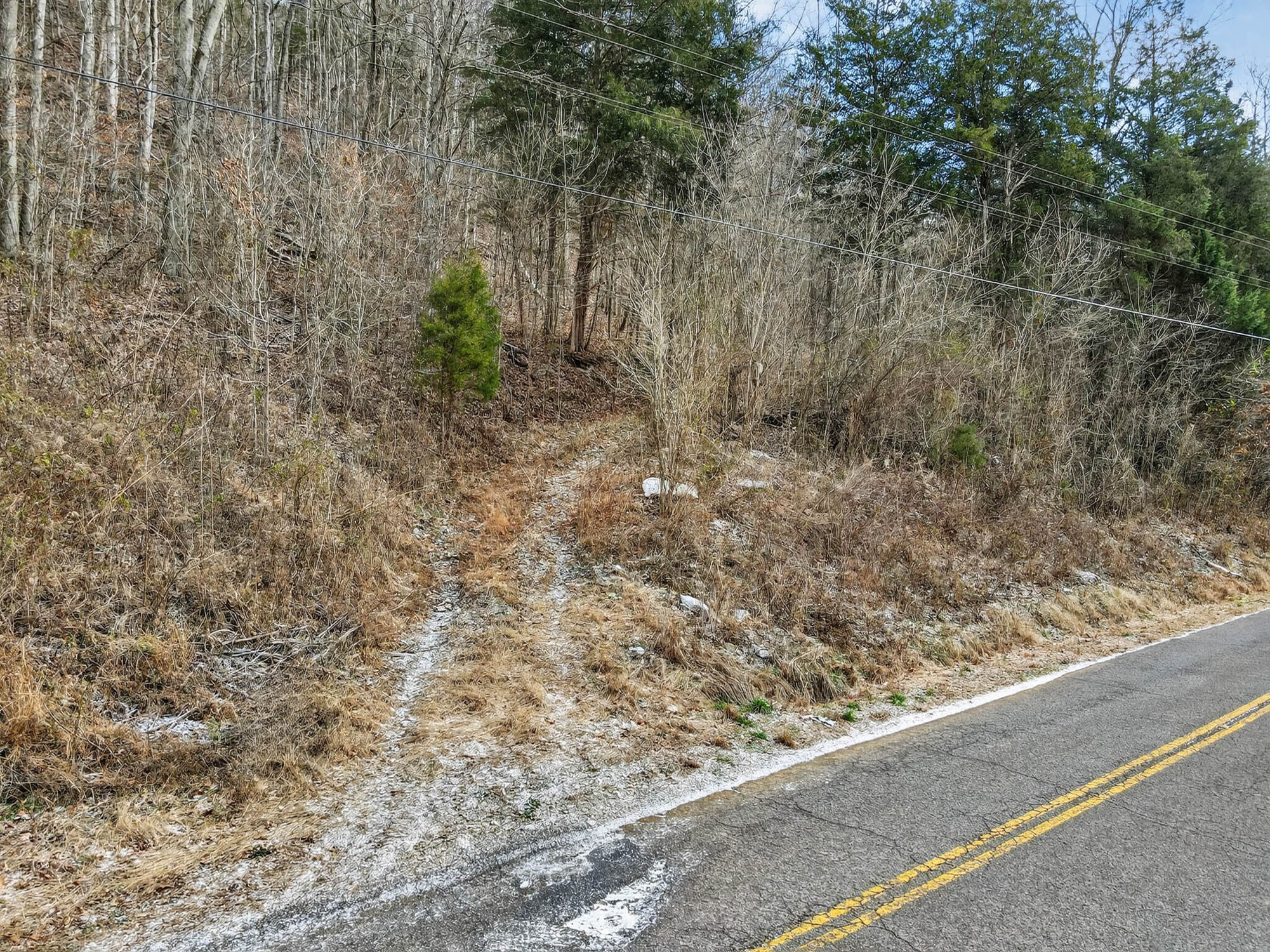 0 Sycamore Valley Road Pleasant Shade, TN 37145 - Photo 13 of 15 a view of a yard