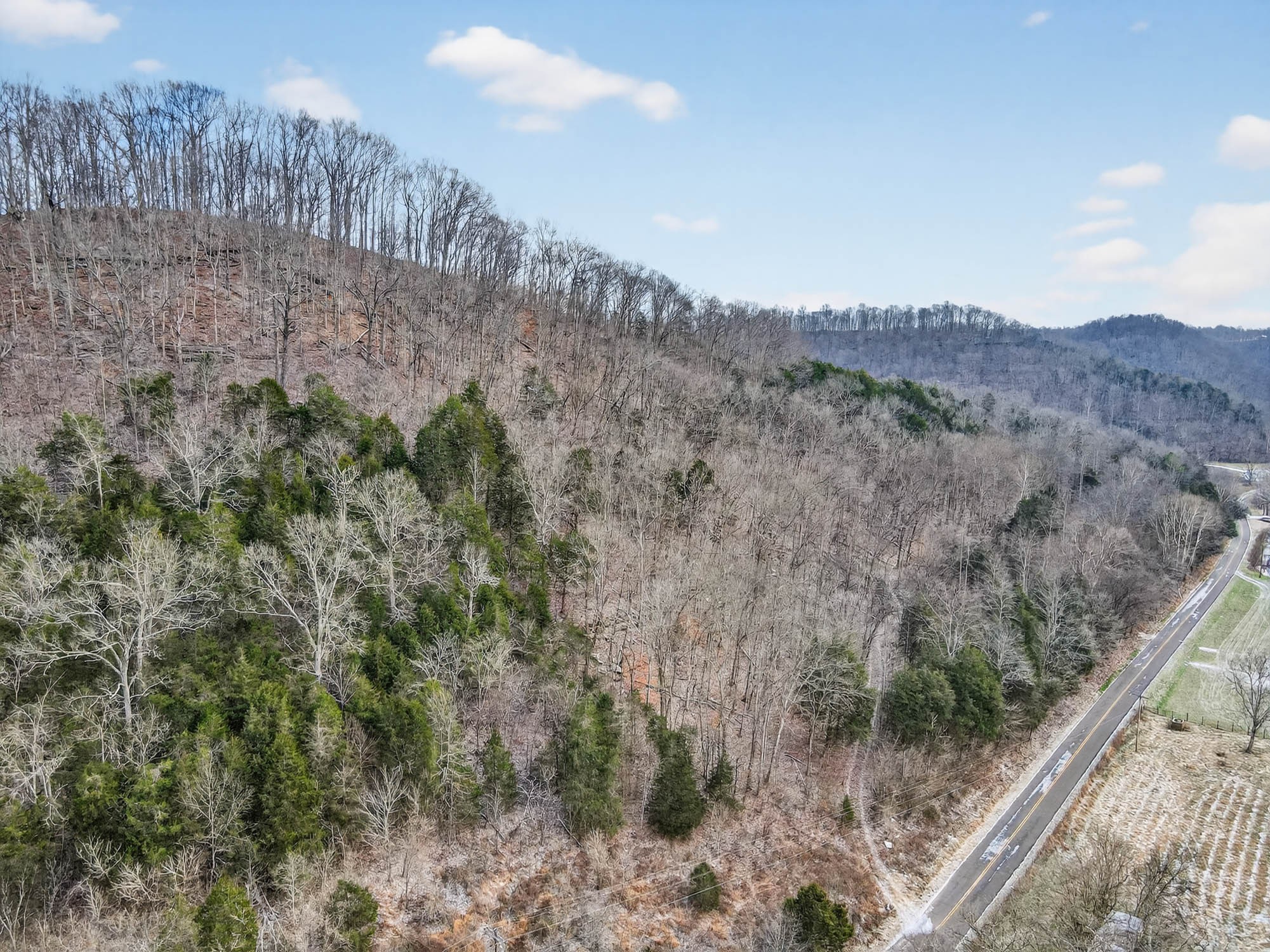 0 Sycamore Valley Road Pleasant Shade, TN 37145 - Photo 2 of 15 a view of a forest with a forest