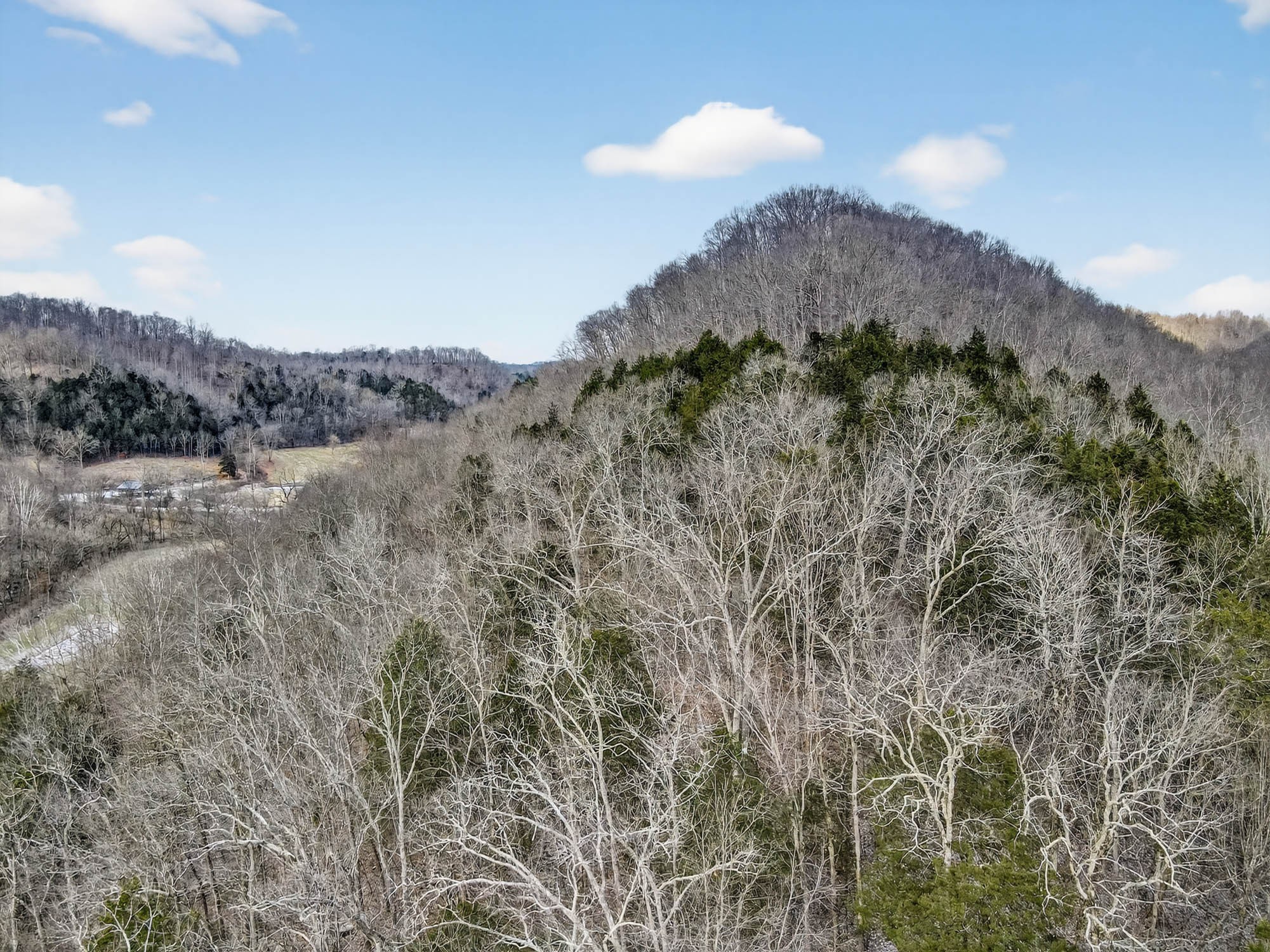 0 Sycamore Valley Road Pleasant Shade, TN 37145 - Photo 5 of 15 a view of a dry yard with mountains in the background