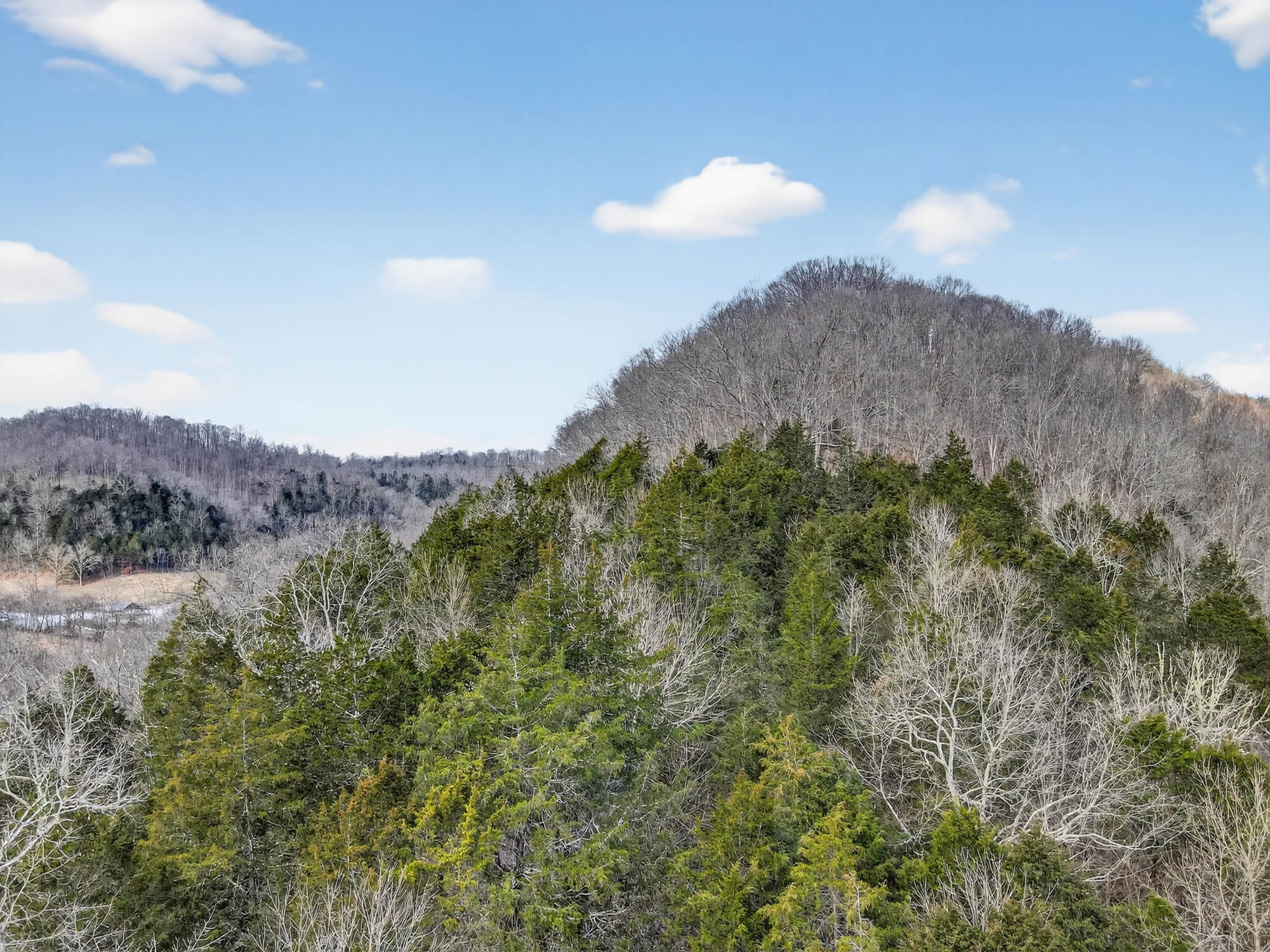 0 Sycamore Valley Road Pleasant Shade, TN 37145 - Photo 6 of 15 a view of a sky