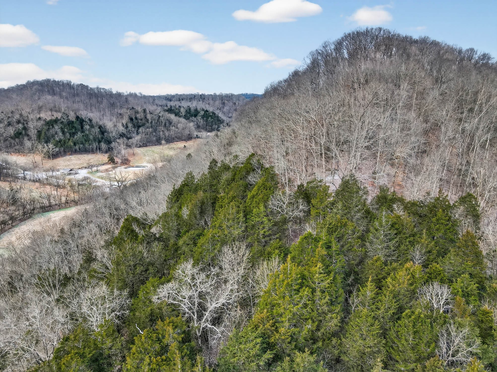 0 Sycamore Valley Road Pleasant Shade, TN 37145 - Photo 8 of 15 a view of a dry yard with green space and mountain view