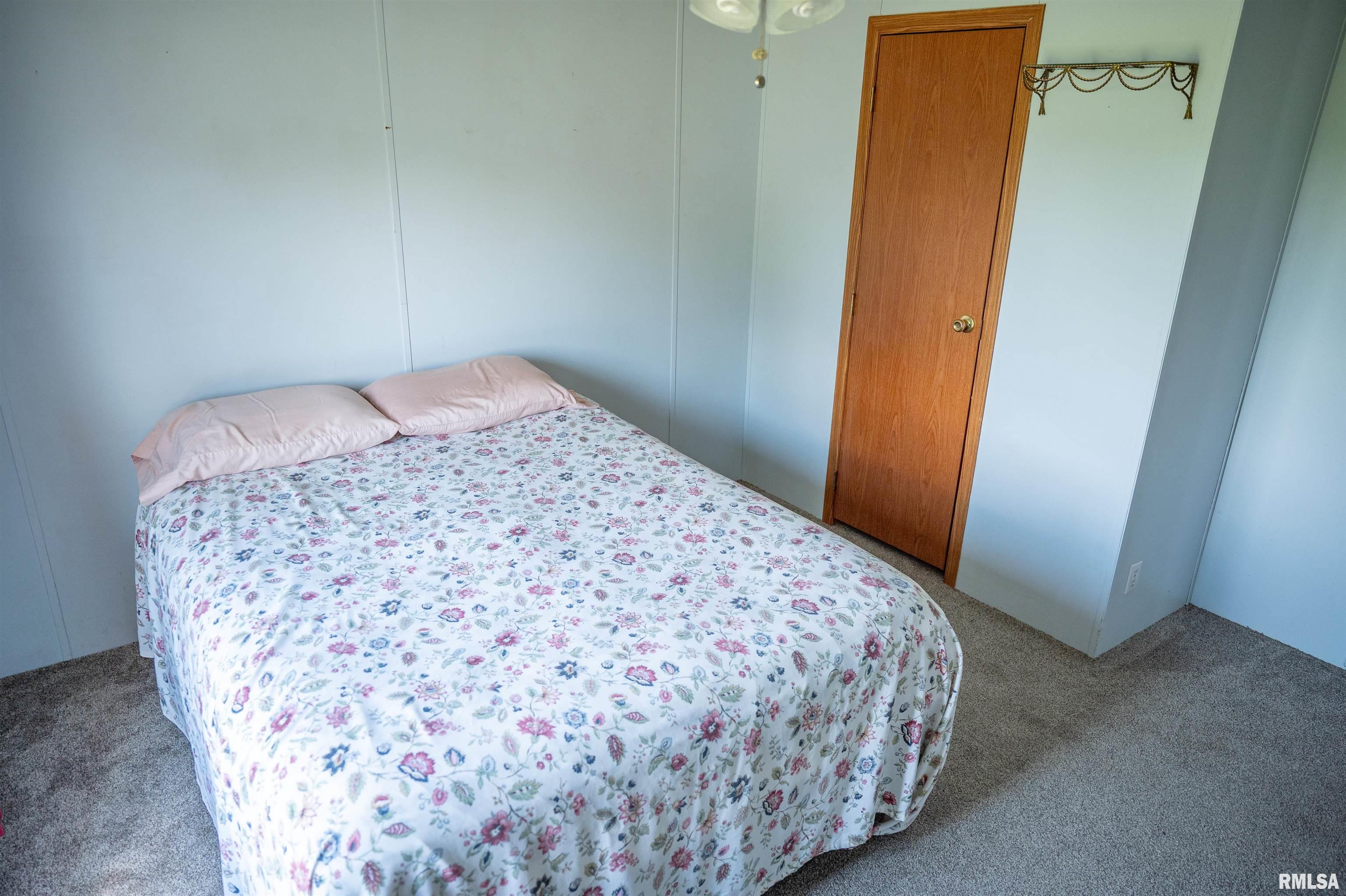 1752 Duncan Road Murrayville, IL 62668 - Photo 23 of 55