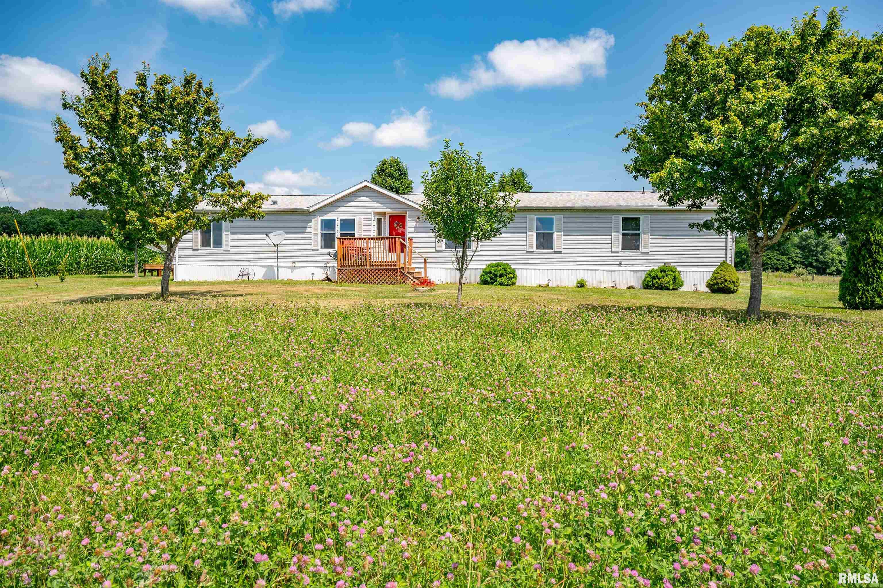 1752 Duncan Road Murrayville, IL 62668 - Photo 4 of 55