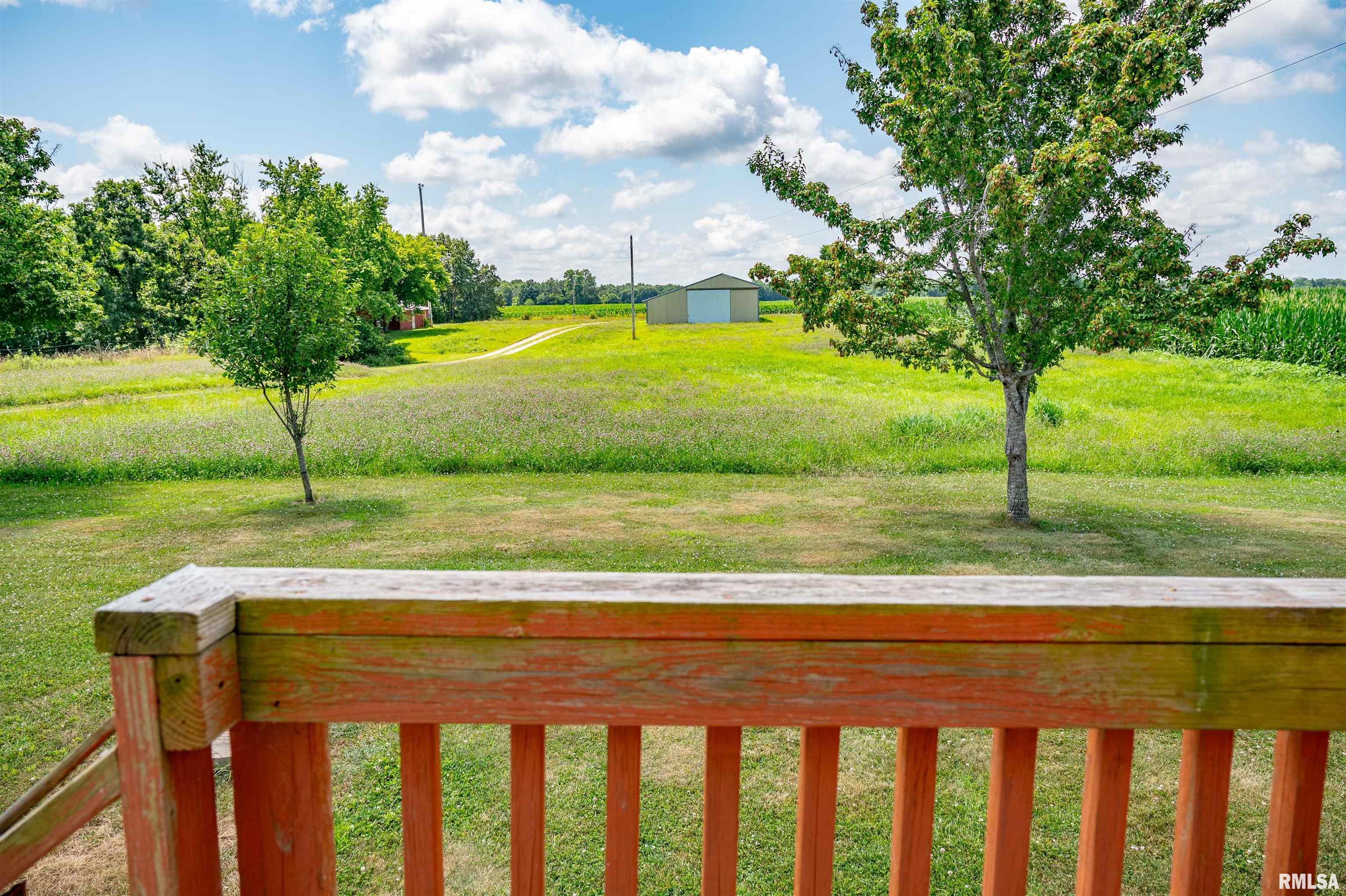 1752 Duncan Road Murrayville, IL 62668 - Photo 46 of 55