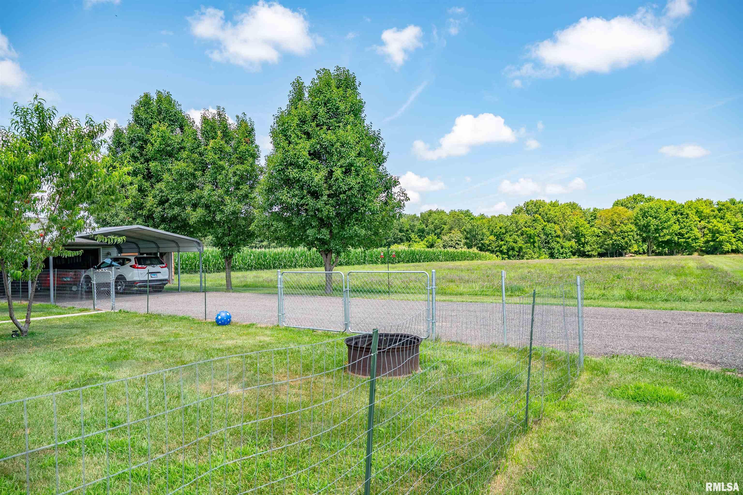 1752 Duncan Road Murrayville, IL 62668 - Photo 48 of 55