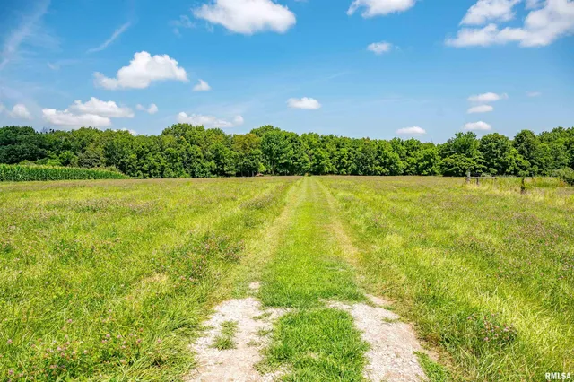 $165,000 | 1752 Duncan Road, Murrayville, IL 62668