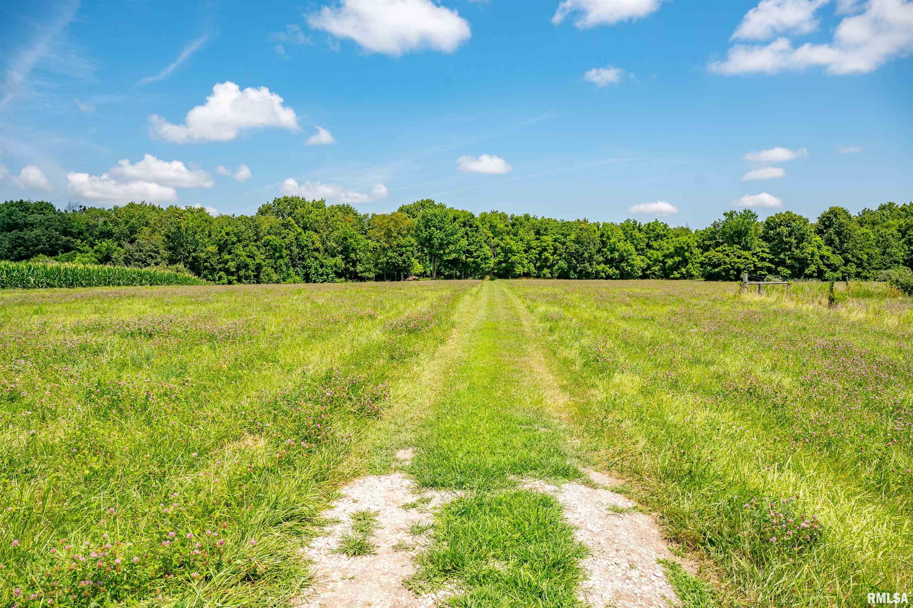 1752 Duncan Road Murrayville, IL 62668 - Photo 49 of 55