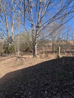 403 Woodard Road Lafayette, TN 37083 - Photo 13 of 21 a view of a yard with wooden fence