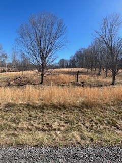 403 Woodard Road Lafayette, TN 37083 - Photo 16 of 21 a view of a yard covered with snow