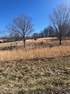 403 Woodard Road Lafayette, TN 37083 - Photo 17 of 21 a view of a yard covered with snow