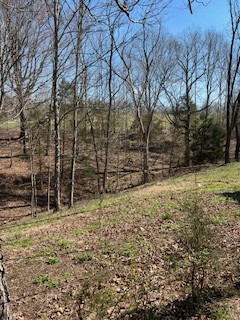 403 Woodard Road Lafayette, TN 37083 - Photo 2 of 21 a backyard of a house with lots of green space