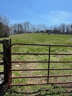 403 Woodard Road Lafayette, TN 37083 - Photo 3 of 21 a view of a green yard