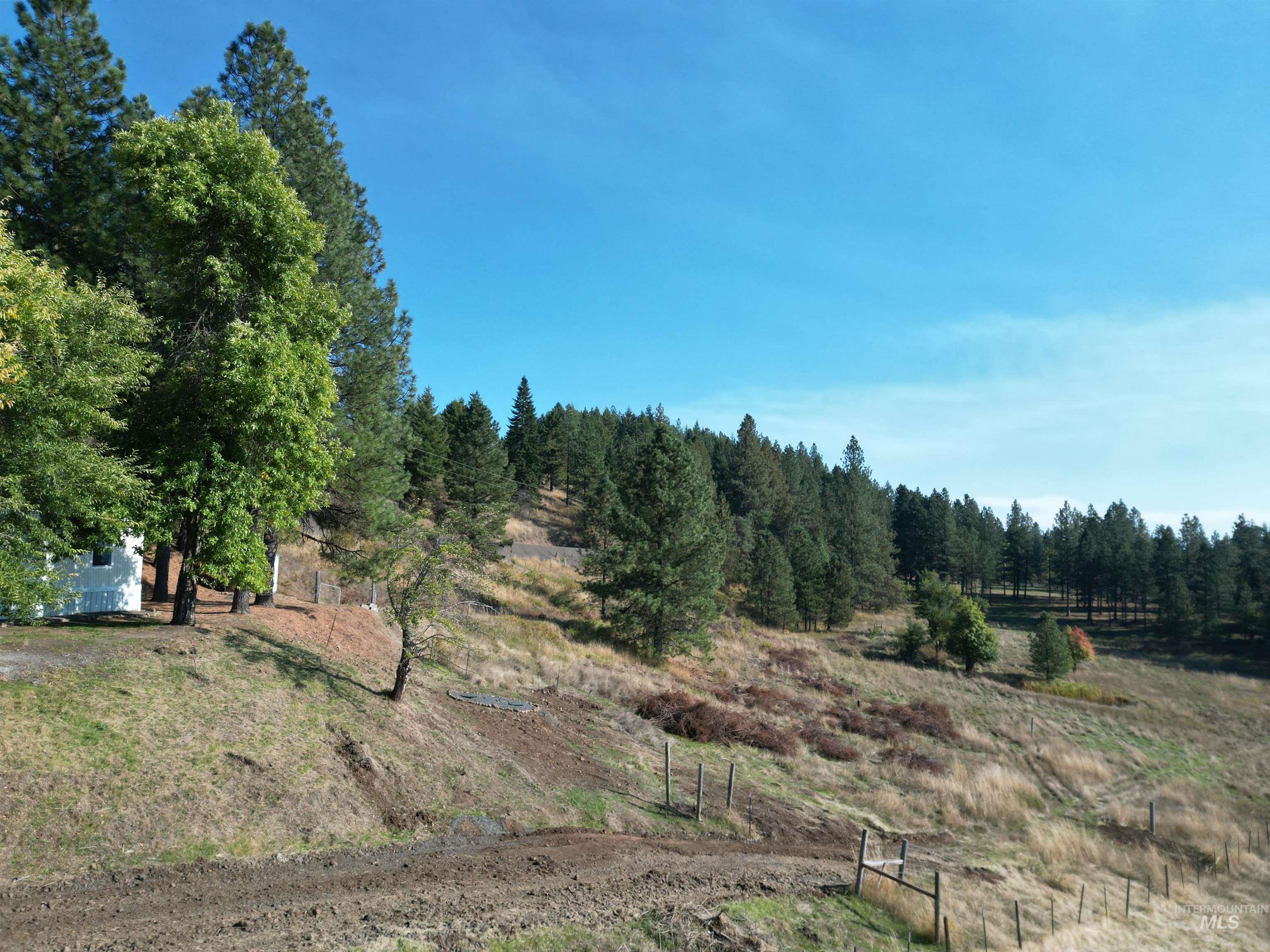 4099 Lakeview Road Orofino, ID 83544 - Photo 36 of 41 Expansive property featuring a sloped terrain, dense tree line, and partial fencing