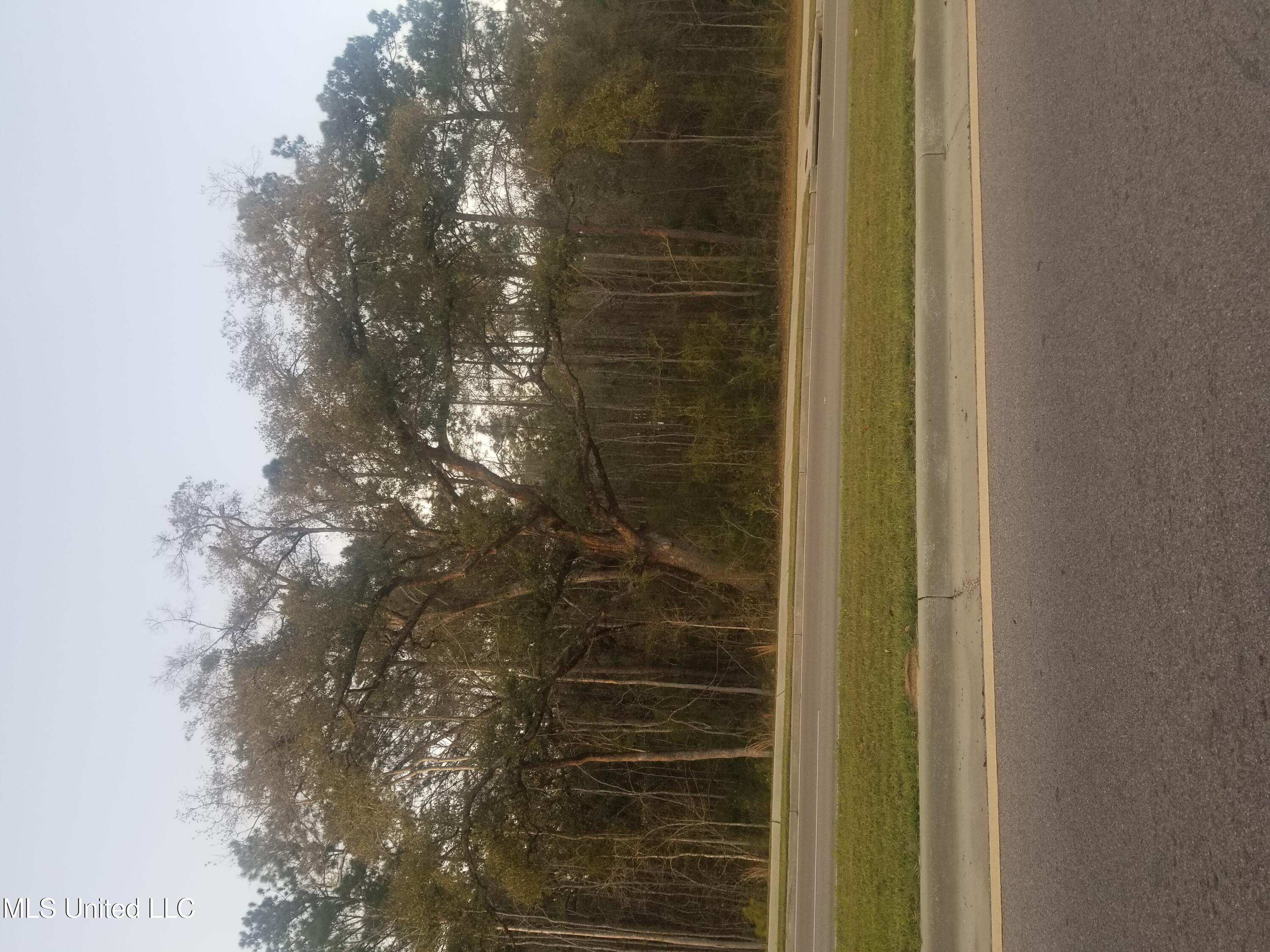 NEW MALLETT RD VIEW