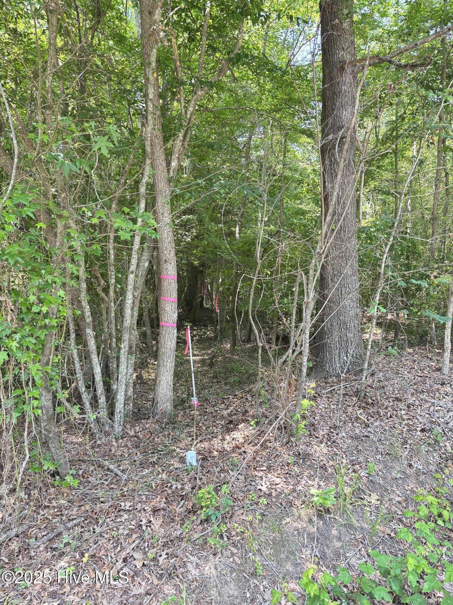 Lot 25 Buckhorn Church Road Como, NC 27818 - Photo 1 of 15 IMG_2775