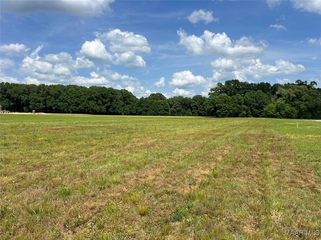 4209 Marler Road Pike Road, AL 36064 - Photo 5 of 7 Gallery Image 5