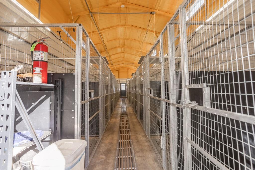 1 Farm 1140 Road Verona, MO 65769 - Photo 11 of 37