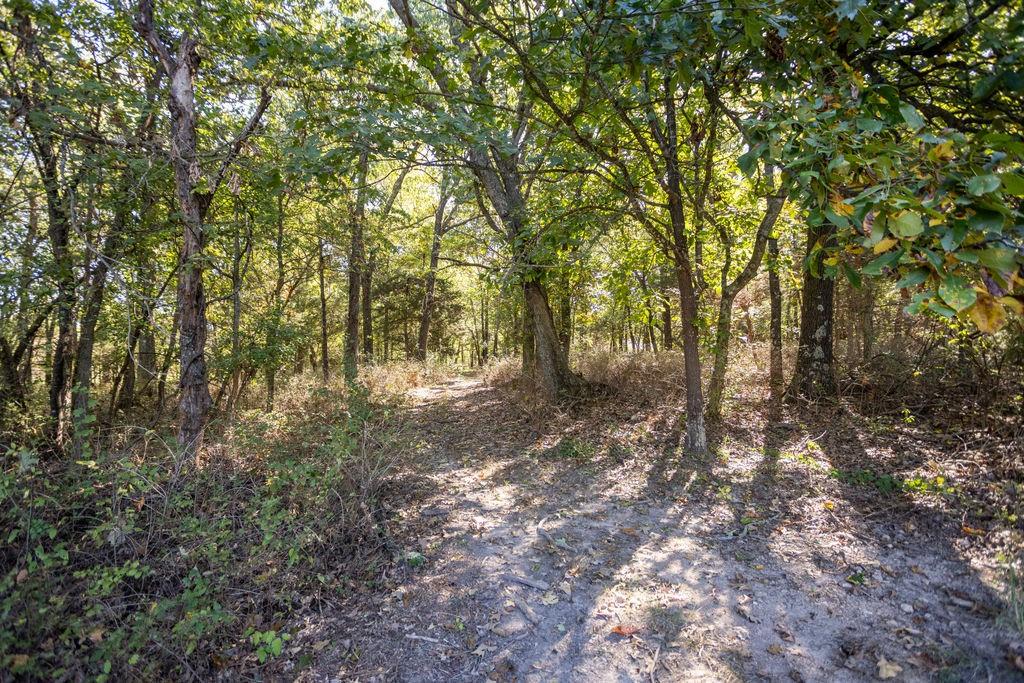 0 Farm 1140 Road Verona, MO 65769 - Photo 15 of 68