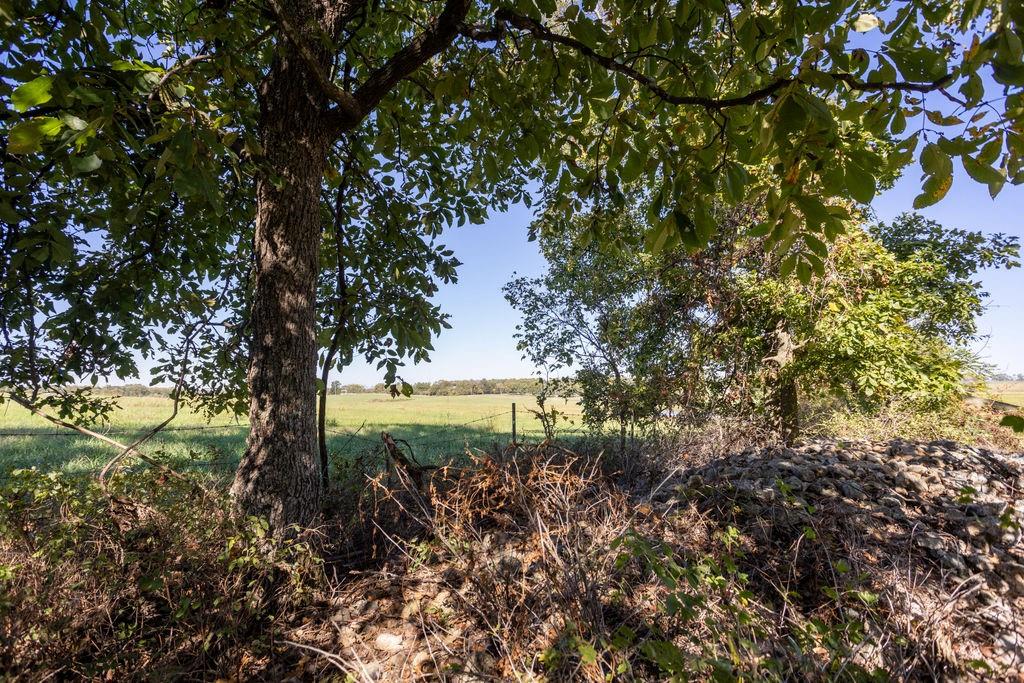 0 Farm 1140 Road Verona, MO 65769 - Photo 17 of 68