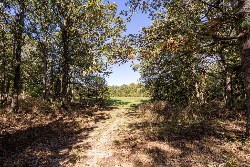 0 Farm 1140 Road Verona, MO 65769 - Photo 19 of 68