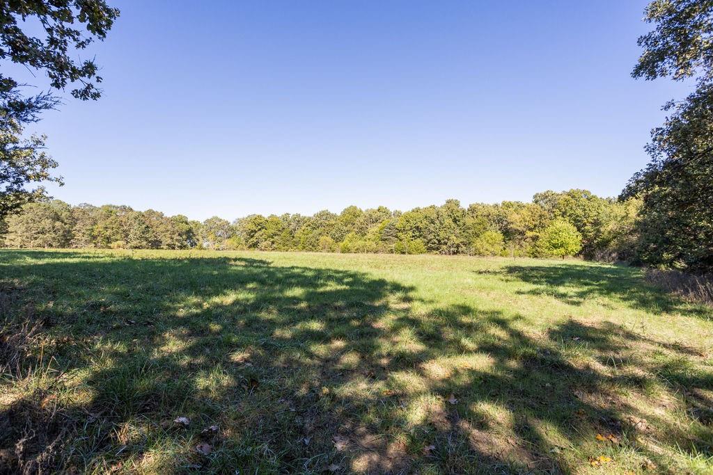 0 Farm 1140 Road Verona, MO 65769 - Photo 20 of 68