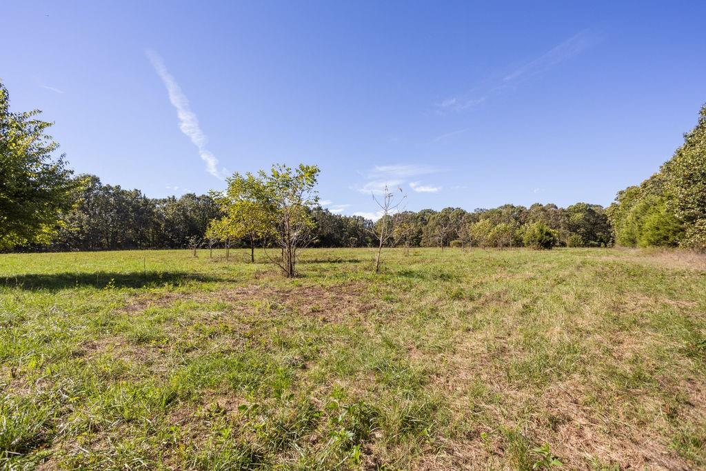 0 Farm 1140 Road Verona, MO 65769 - Photo 22 of 68