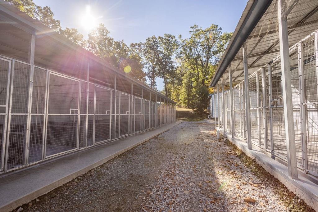 0 Farm 1140 Road Verona, MO 65769 - Photo 29 of 68