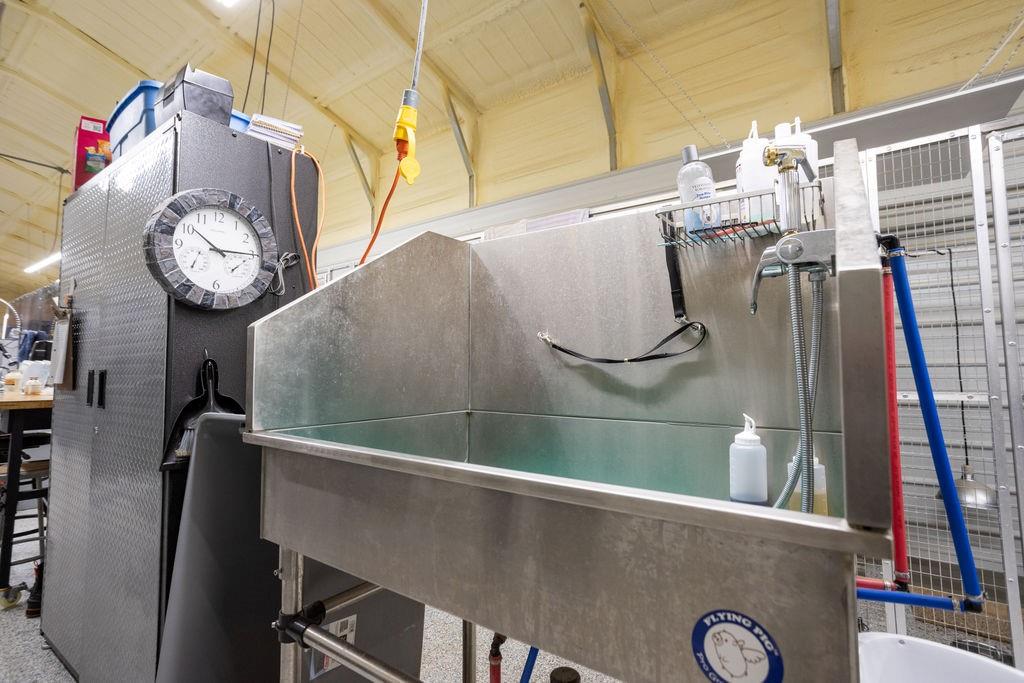 1 Farm 1140 Road Verona, MO 65769 - Photo 4 of 37