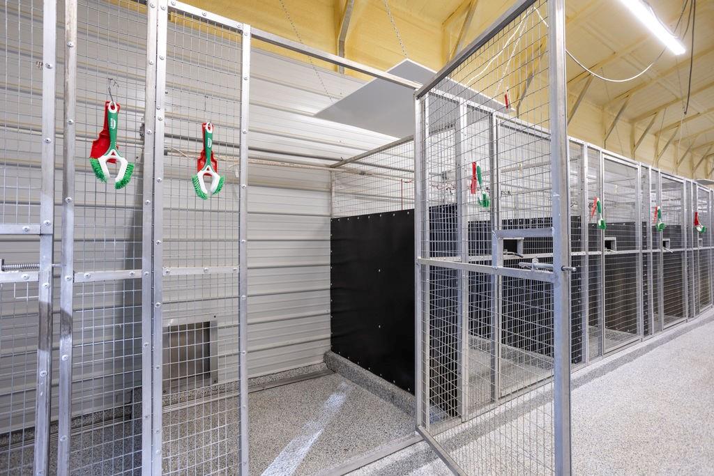 0 Farm 1140 Road Verona, MO 65769 - Photo 4 of 68