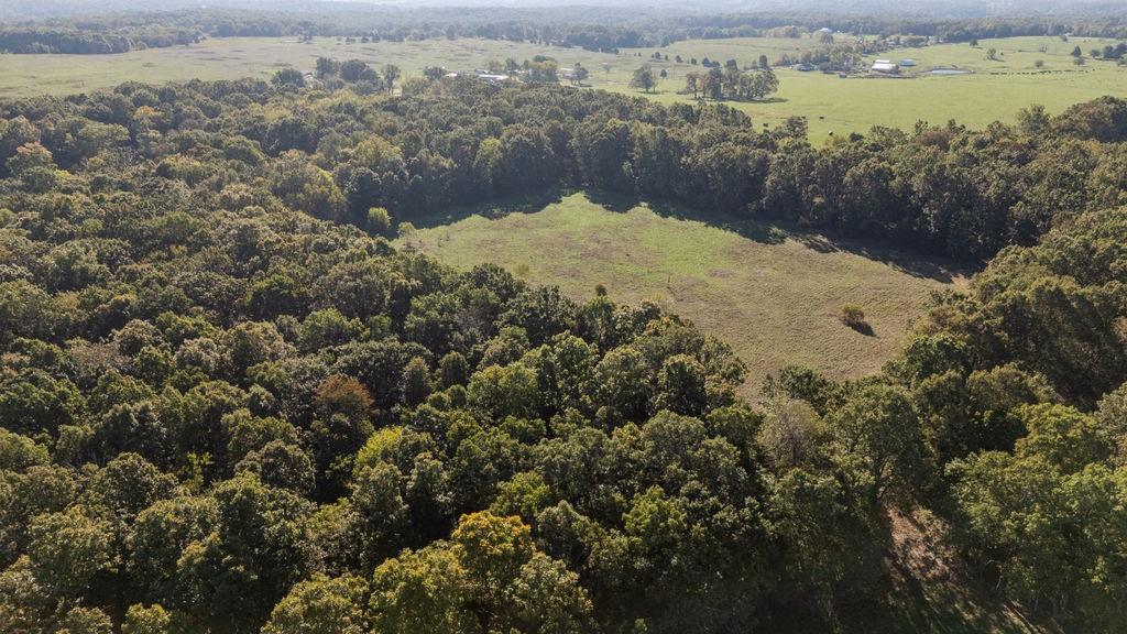 0 Farm 1140 Road Verona, MO 65769 - Photo 49 of 68