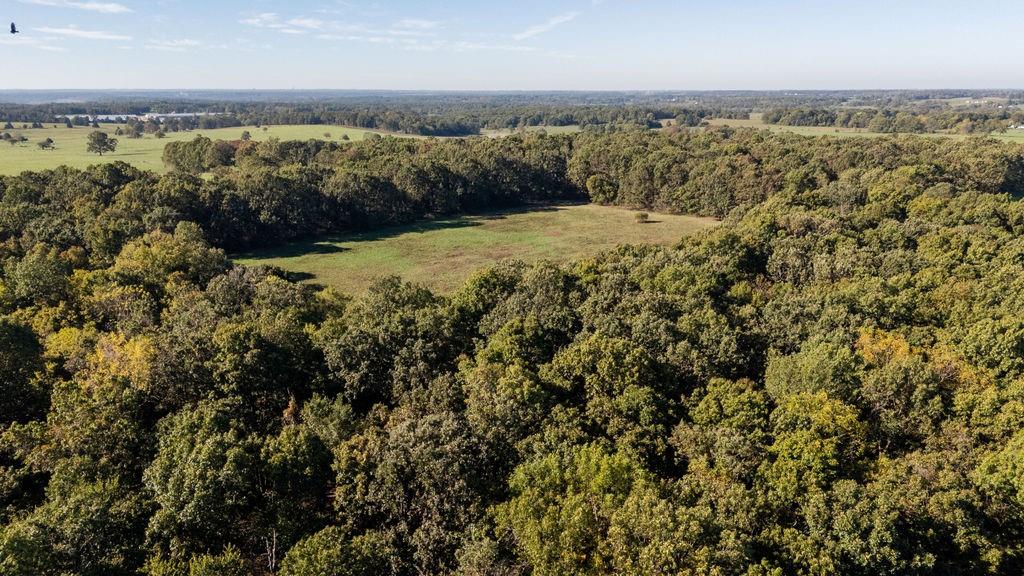 0 Farm 1140 Road Verona, MO 65769 - Photo 59 of 68