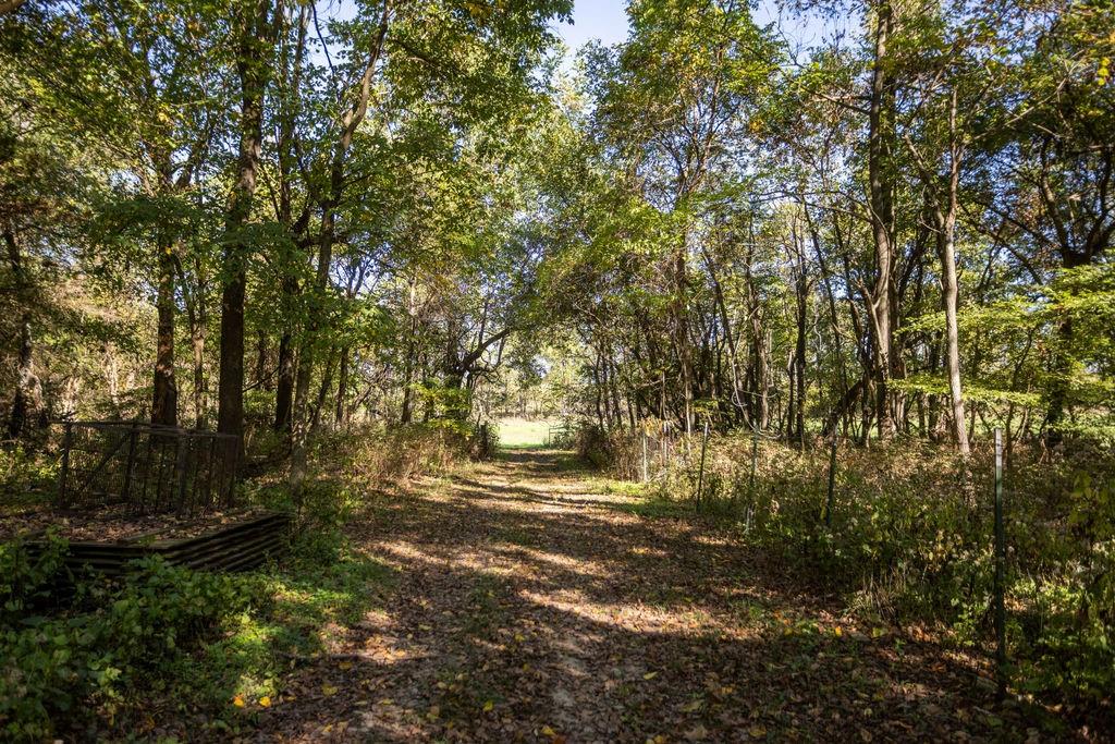 0 Farm 1140 Road Verona, MO 65769 - Photo 8 of 68