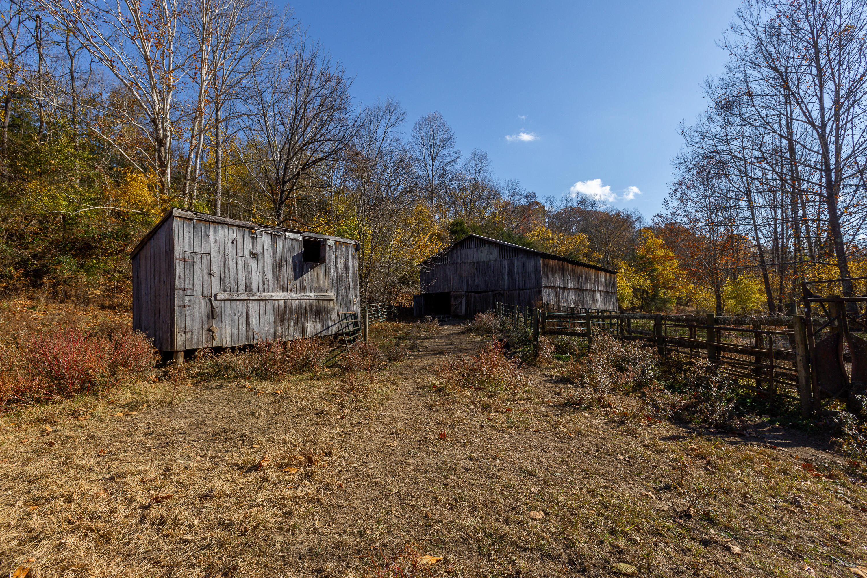 3480 Milltown Road Moorefield, KY 40350 - Photo 24 of 38 3480 Milltown