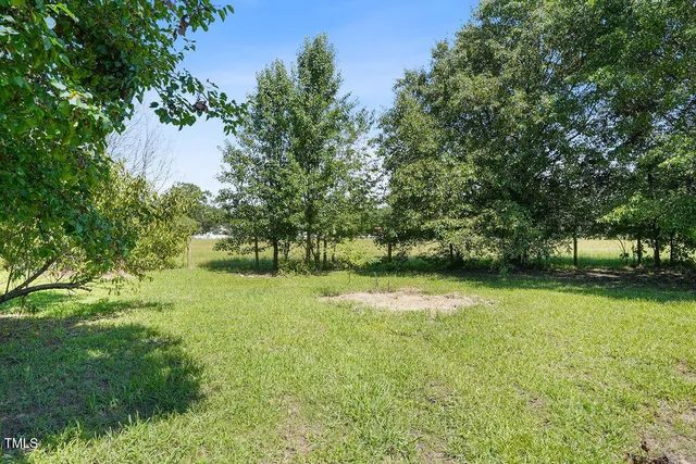 a backyard of a house with lots of green space