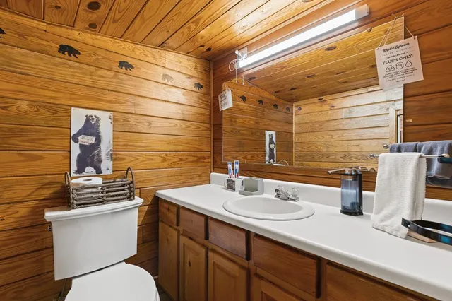 a bathroom with a sink a toilet and mirror