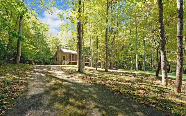 a view of a yard with plants and trees