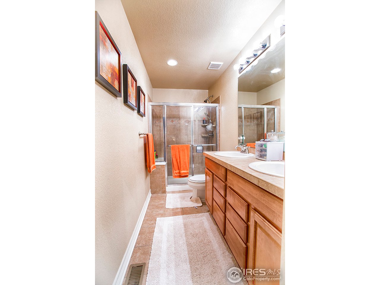 10437 Lower Ridge Road Longmont, CO 80504 - Photo 12 of 19 master bathroom