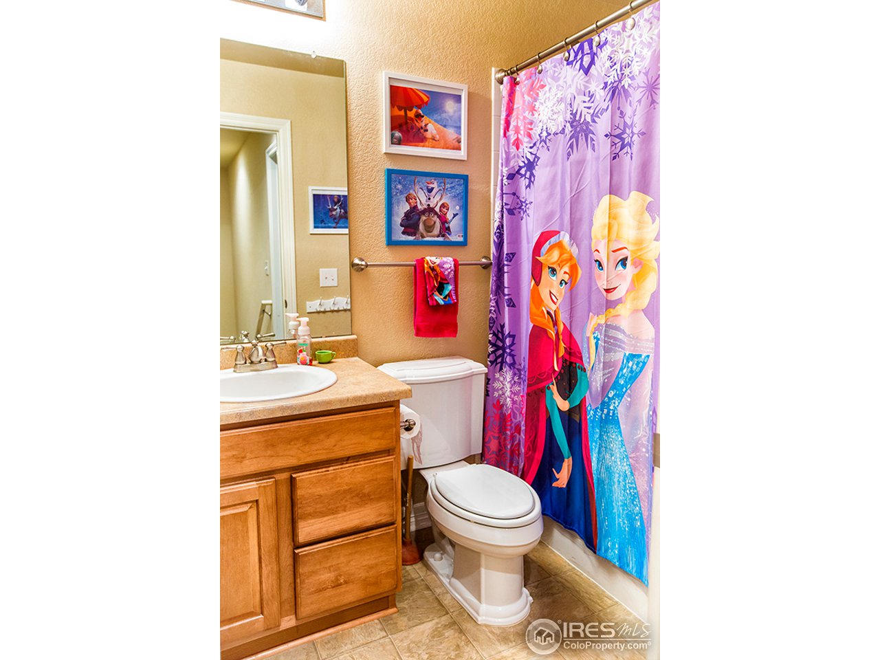 10437 Lower Ridge Road Longmont, CO 80504 - Photo 10 of 19 2nd bathroom