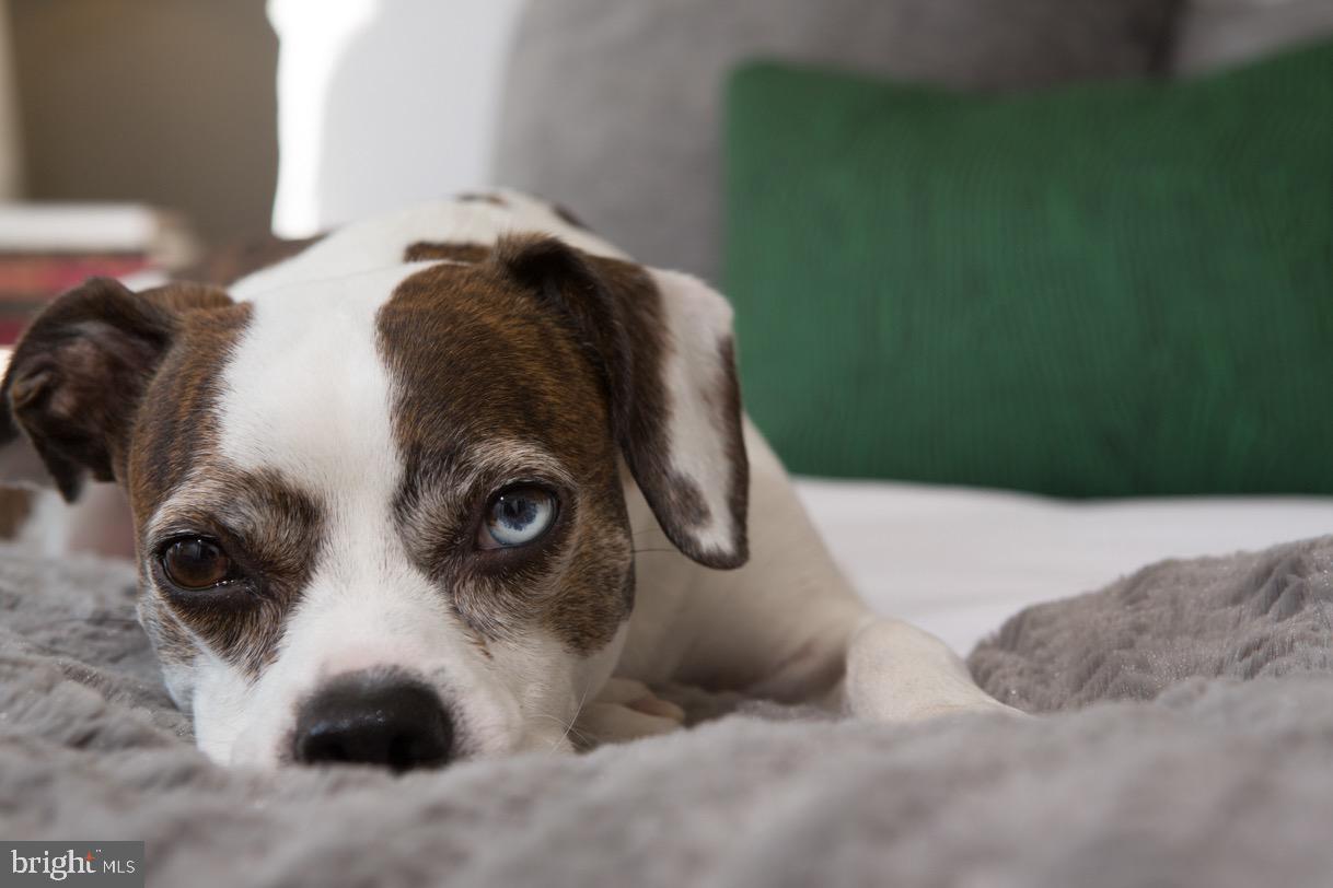 121 North 2nd Street, Unit 622 Philadelphia, PA 19106 - Photo 17 of 17 a close up of a vanity