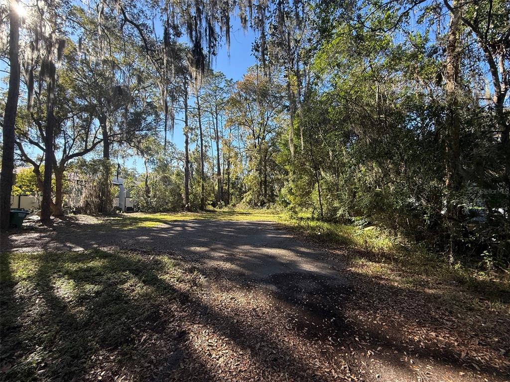 Tbd Northwest 12th Street Gainesville, FL 32601 - Photo 3 of 5 a view of road and trees