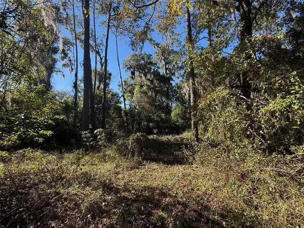 a view of outdoor space and garden