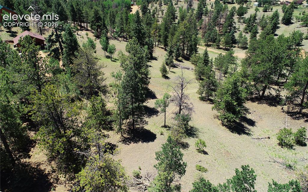 1366 North Mountain Estates Road Florissant, CO 80816 - Photo 8 of 16
