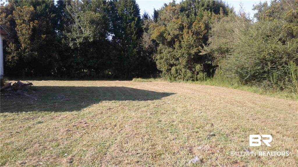 16801 Mosley Road Stapleton, AL 36578 - Photo 2 of 5