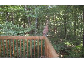 6261 East Lampkins Ridge Road Bloomington, IN 47401 - Photo 15 of 16