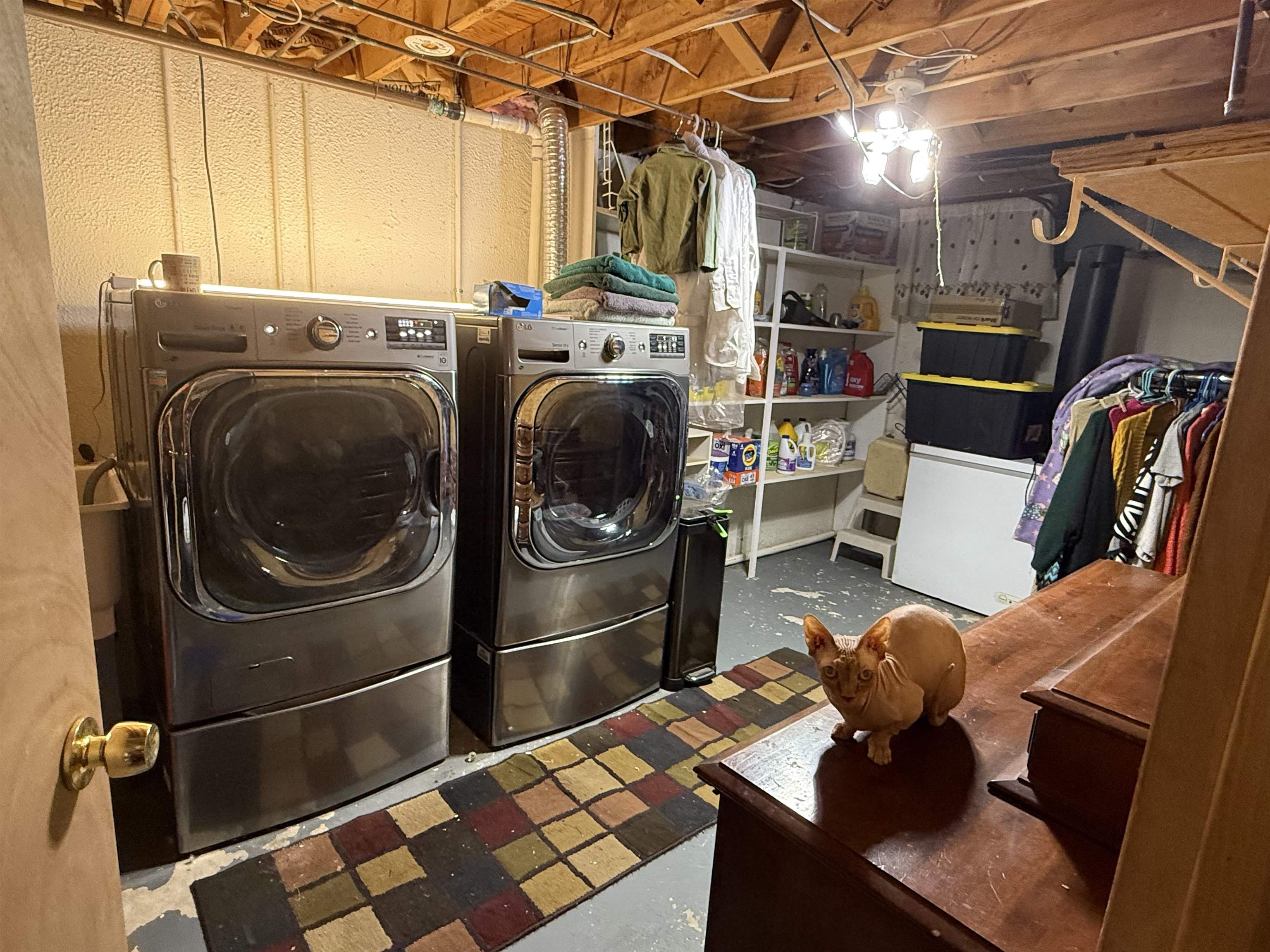 10499 Rene Street Clio, MI 48420 - Photo 62 of 66 50165795-3efc3c30-414c-4fb4-9d98-24aebeadb270.JPG