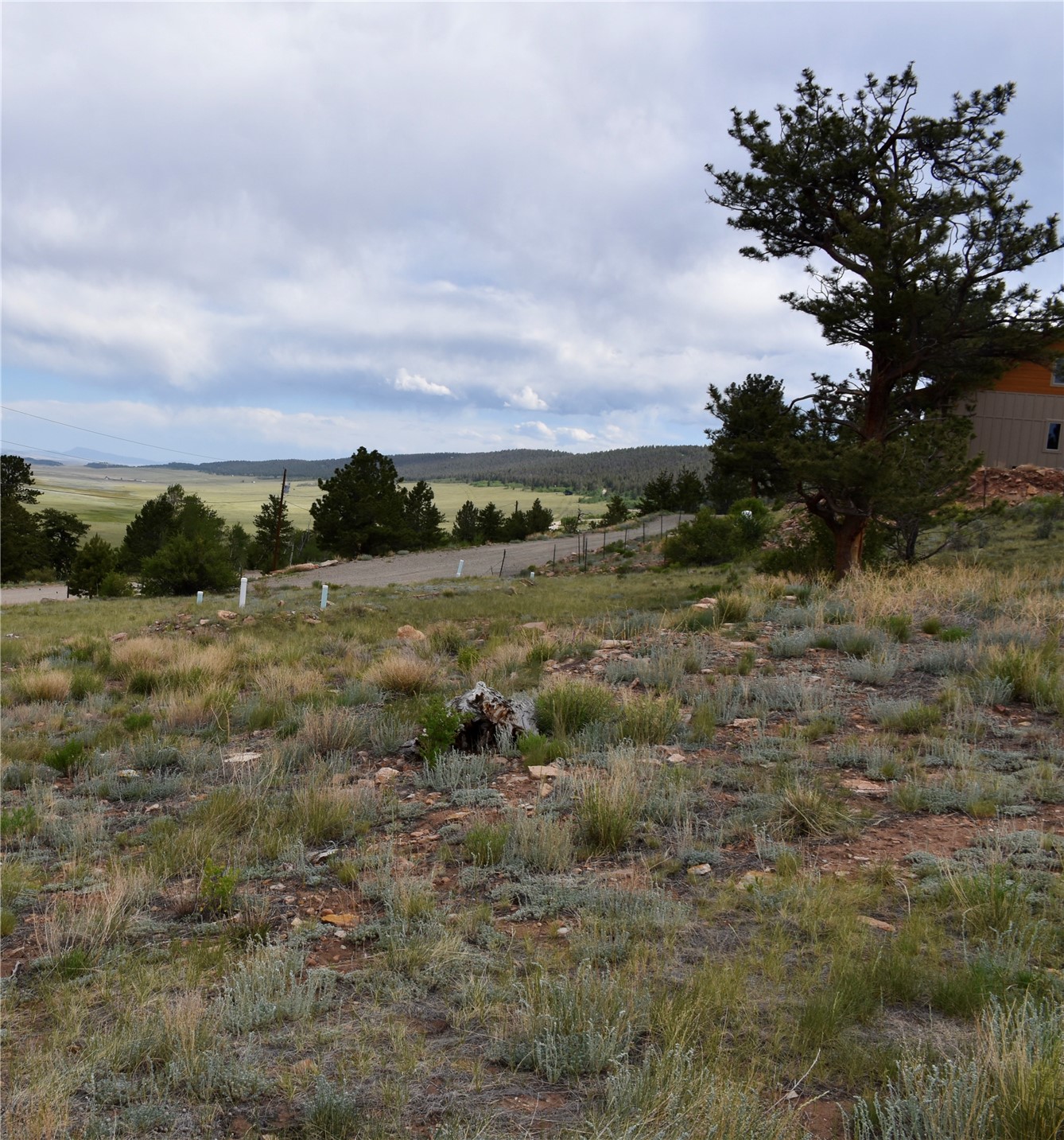 3437 Redhill Road Fairplay, CO 80440 - Photo 41 of 44