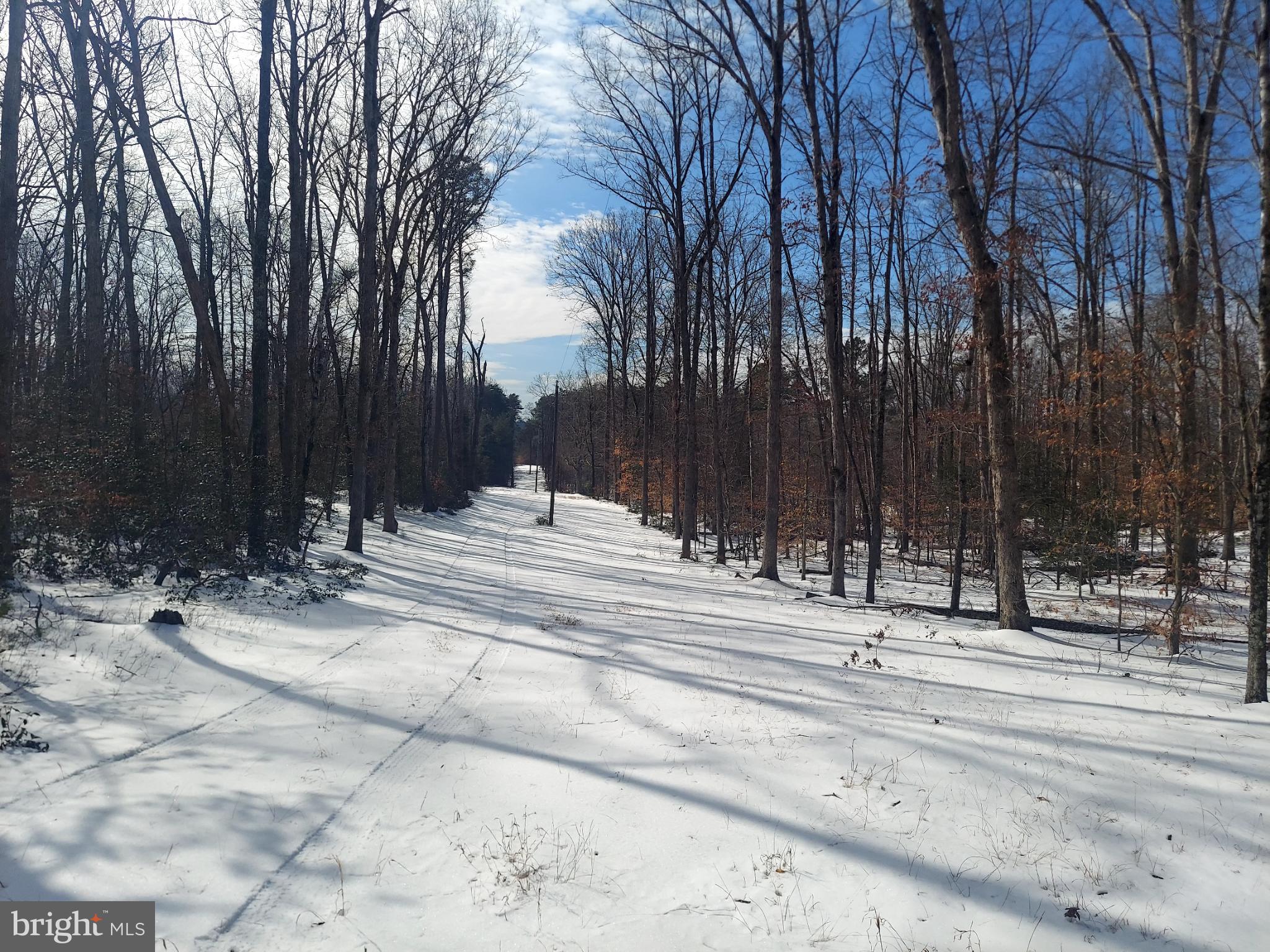 684 Mountain View Road Fredericksburg, VA 22406 - Photo 6 of 9