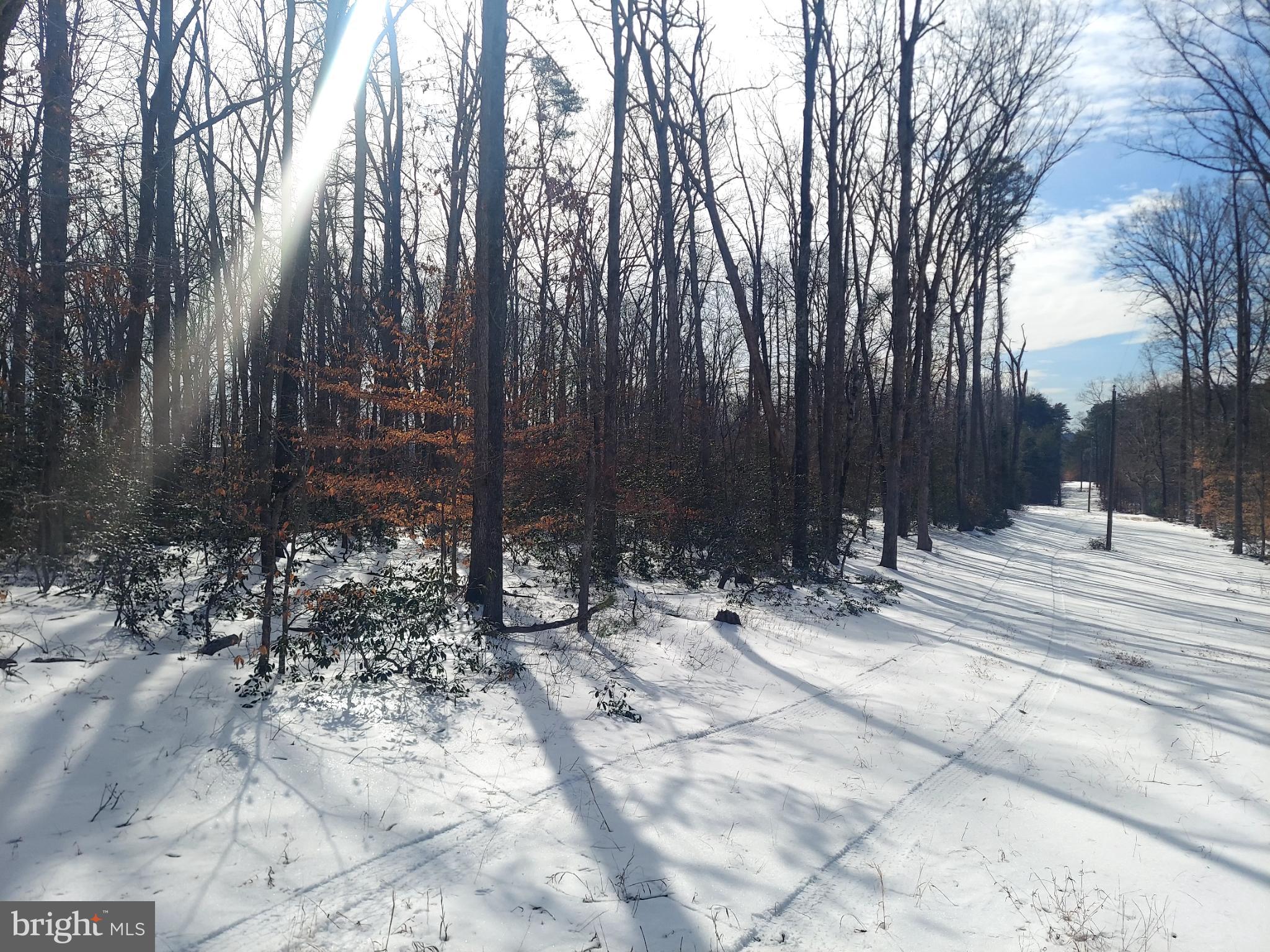 684 Mountain View Road Fredericksburg, VA 22406 - Photo 7 of 9