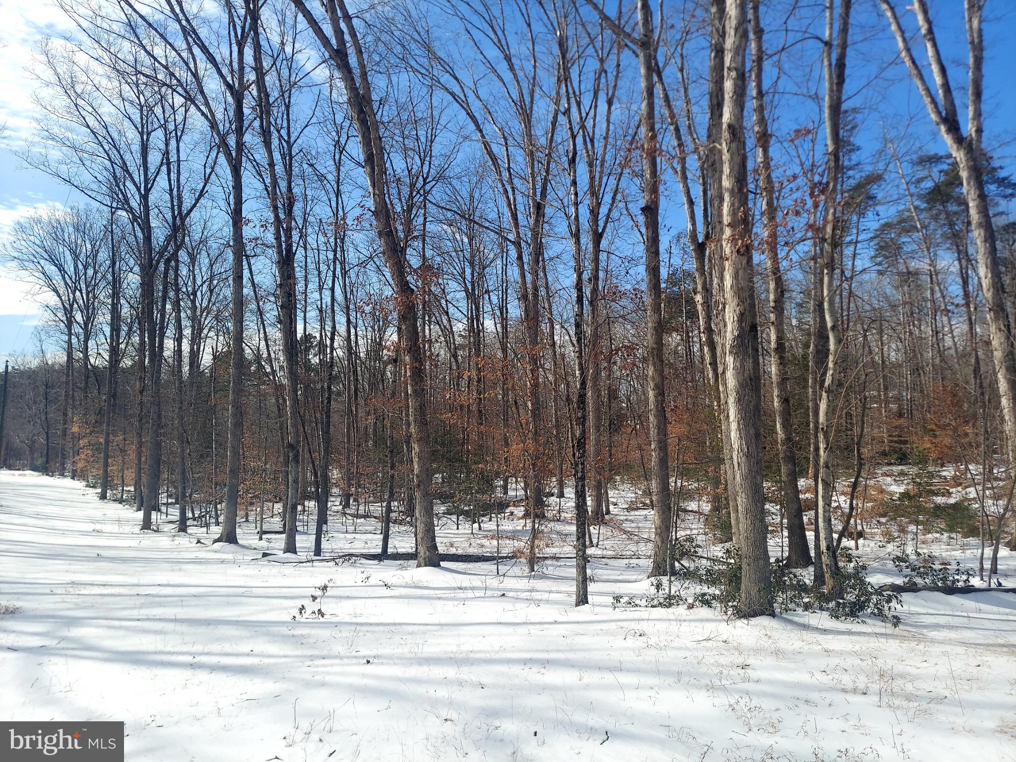 684 Mountain View Road Fredericksburg, VA 22406 - Photo 9 of 9